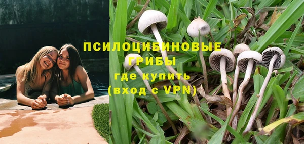мескалин Коряжма