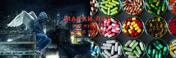 ГАЛЛЮЦИНОГЕННЫЕ ГРИБЫ Костерёво