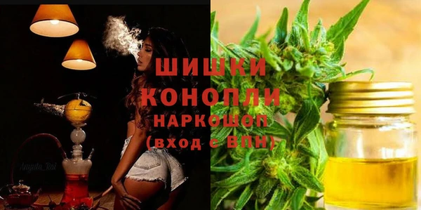 СК Краснослободск