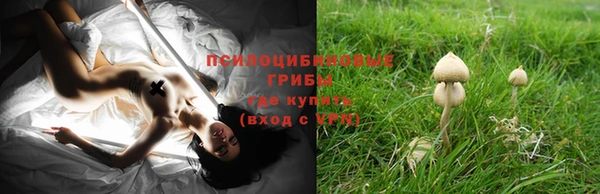 прущие крисы Корсаков