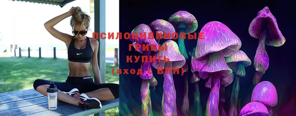 первитин Покачи